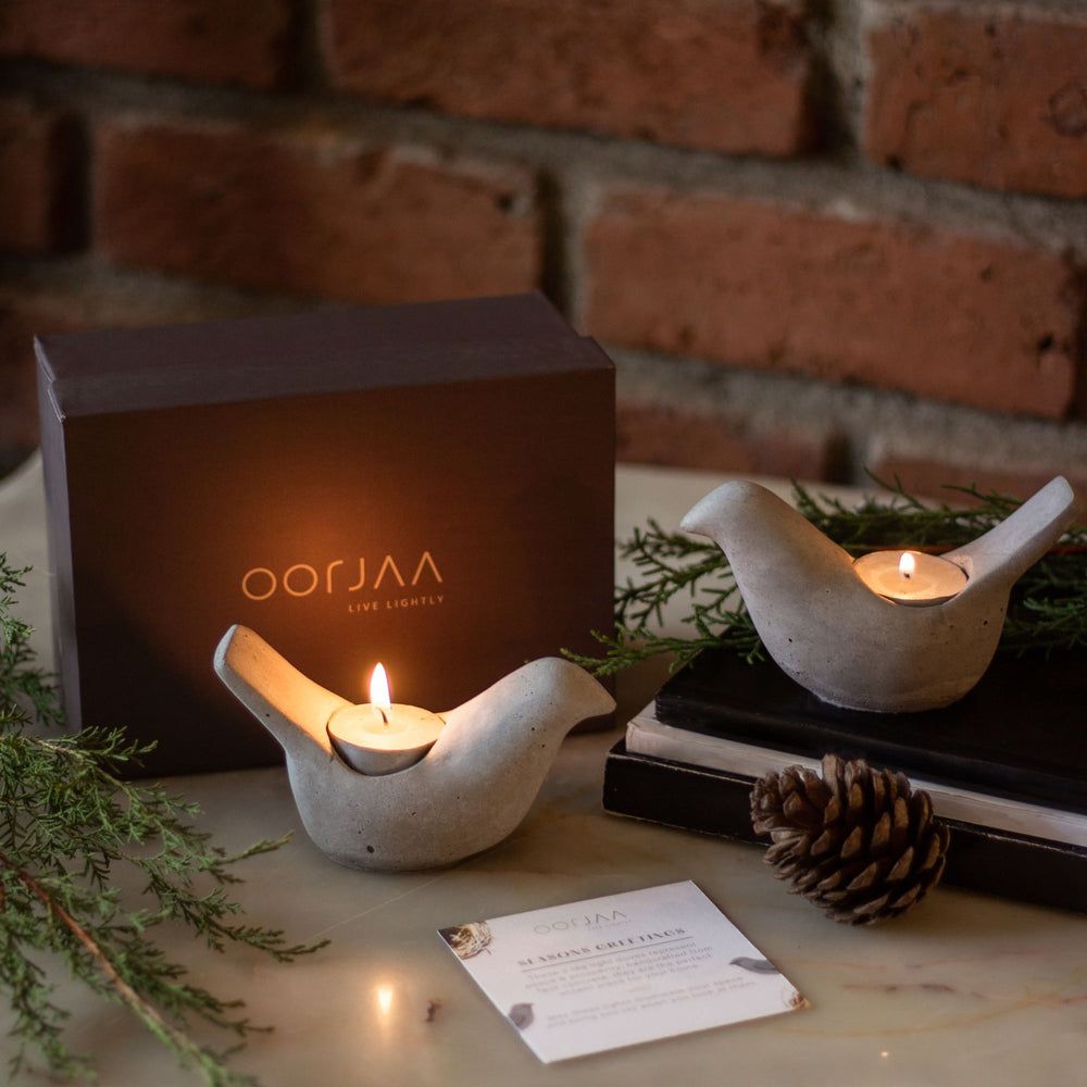 A Light for every kind of Love this Valentine's Day