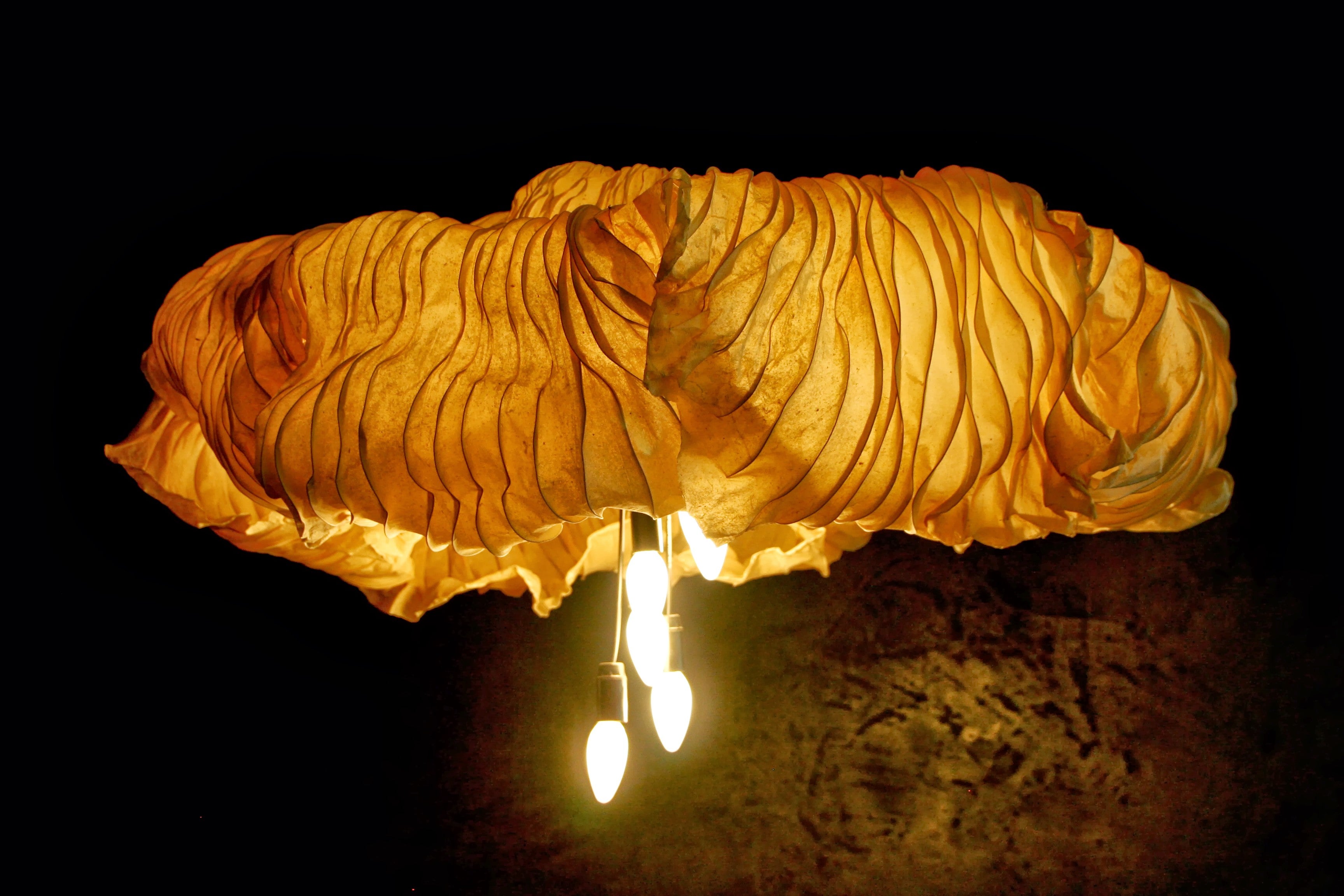 Five Lights that Bring the Outdoors In