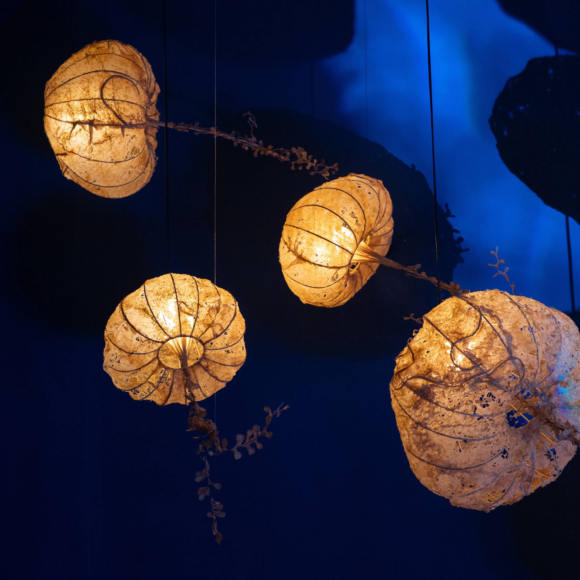 Aurelia Pendant Lamp