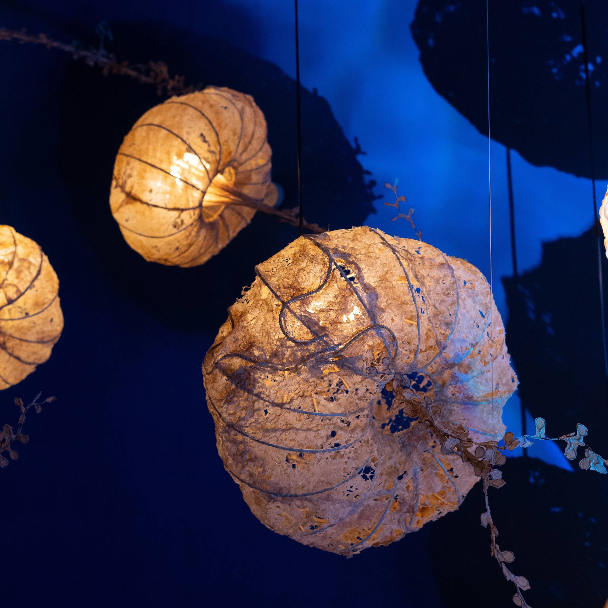 Aurelia Pendant Lamp