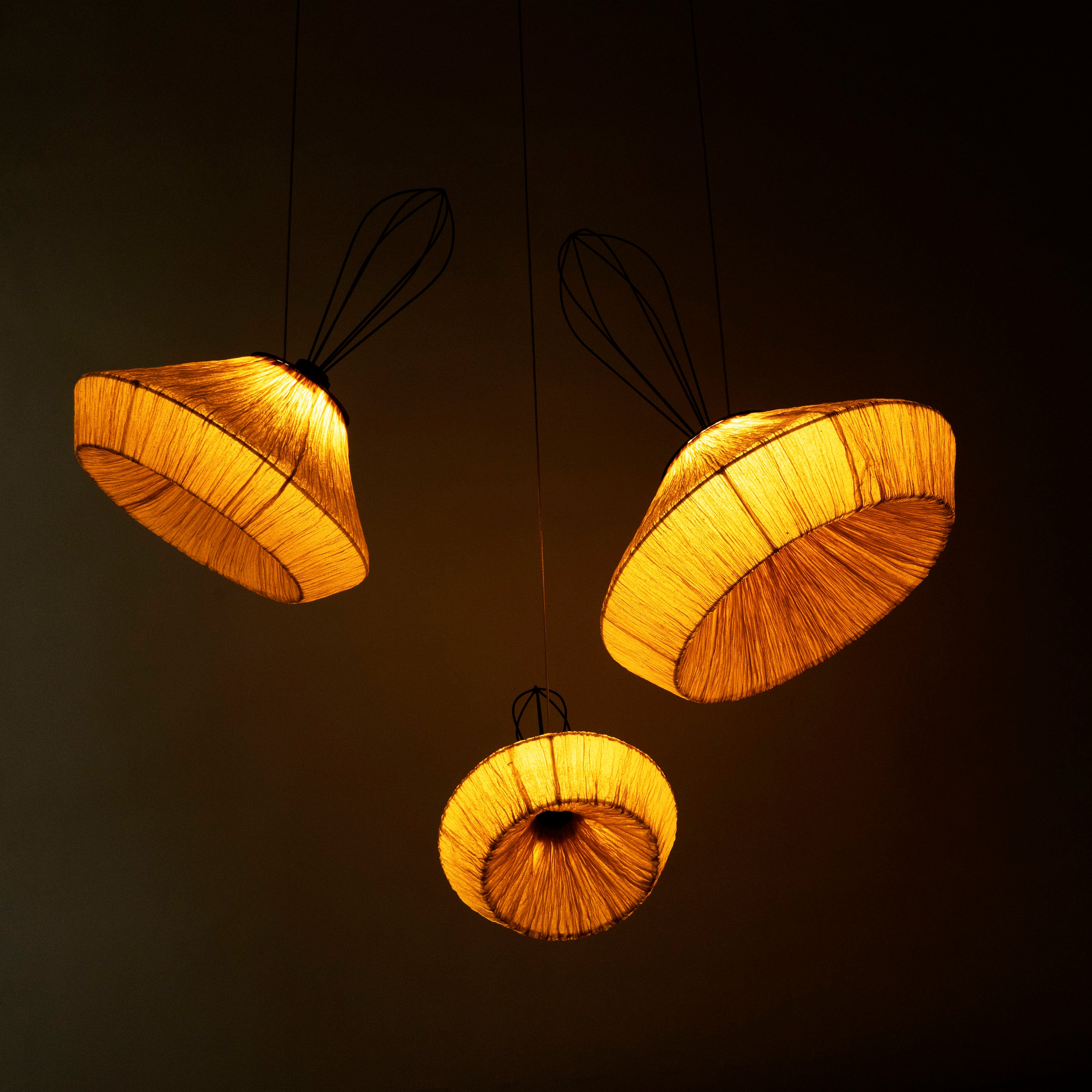 Dandelion Pendant Lamp