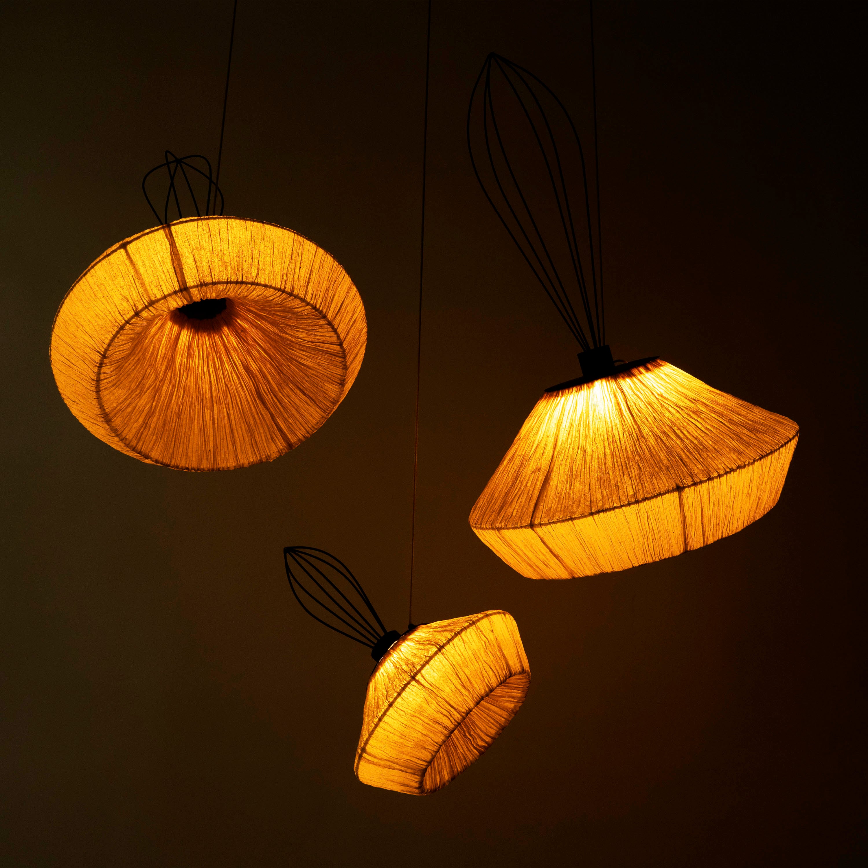 Dandelion Pendant Lamp