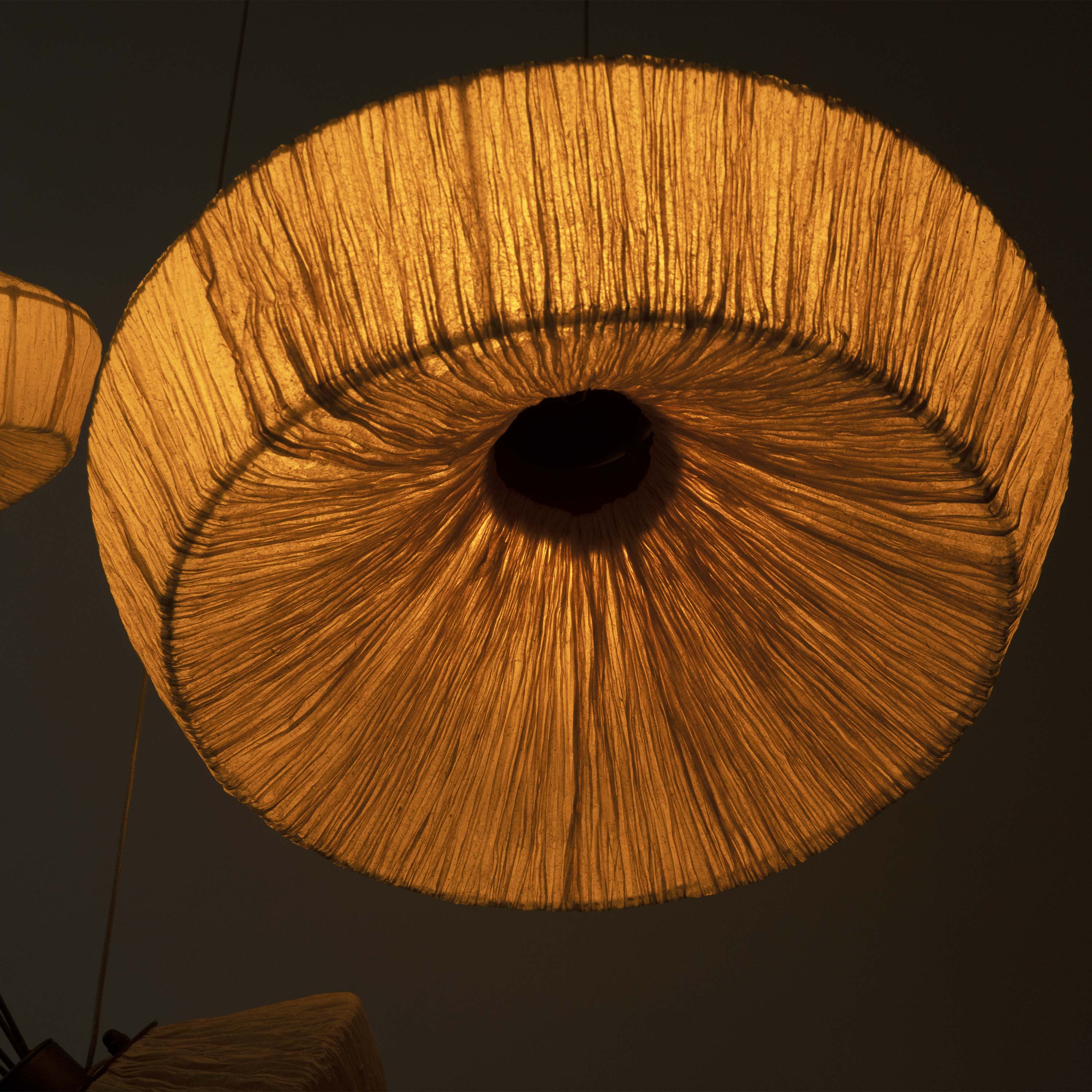 Dandelion Pendant Lamp