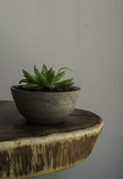 Cement Planter (Grey) - Set of 2