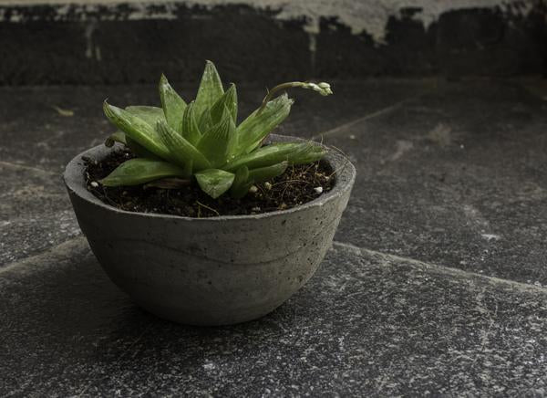 Cement Planter (Grey) - Set of 2