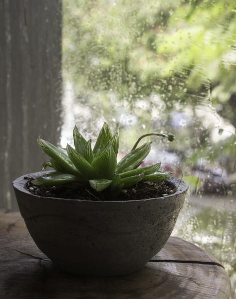 Cement Planter (Grey) - Set of 2