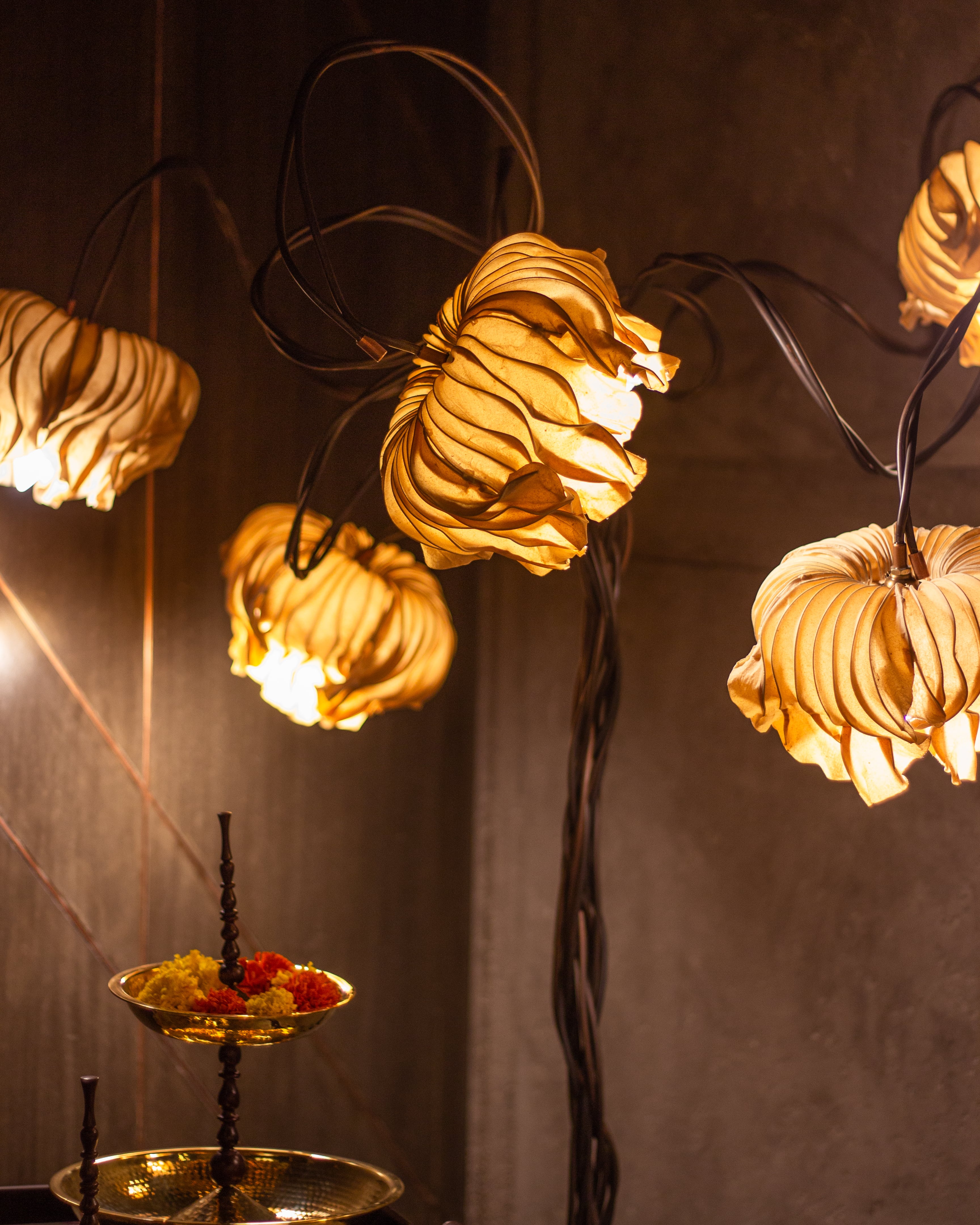 Free Fall Coco Flower