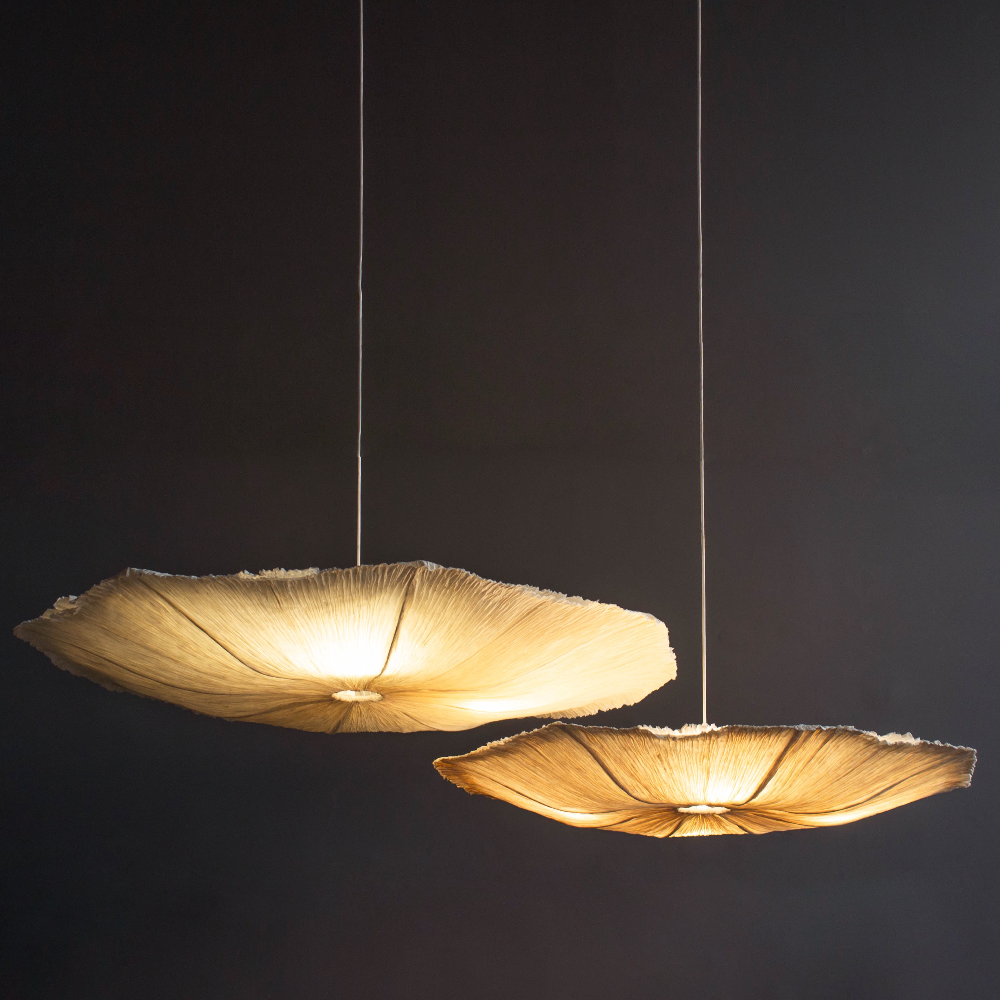 Oyster Mushroom Pendant Lamp