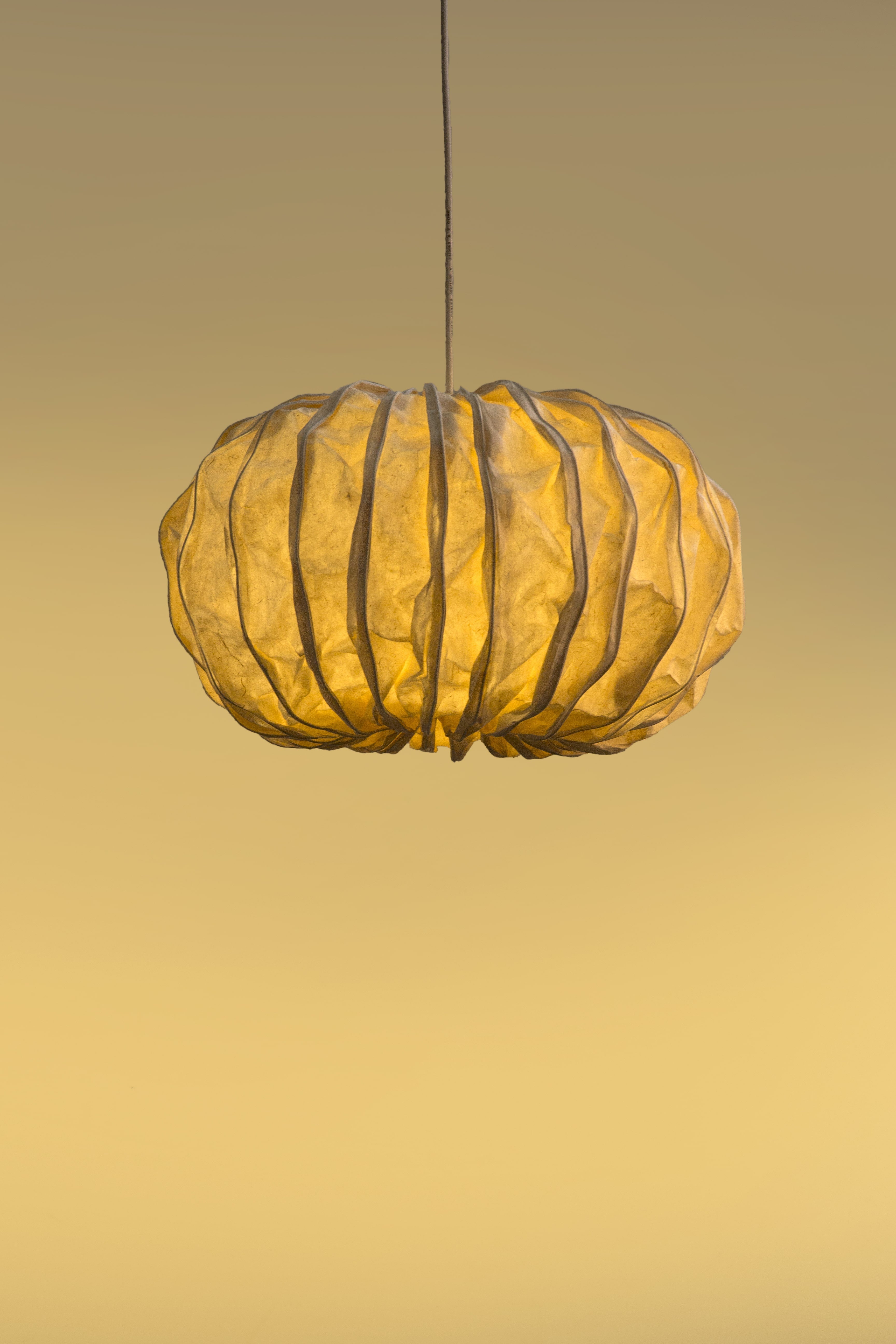 Sea Urchin Round Pendant Lamp