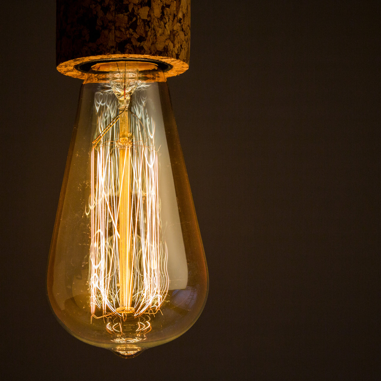 Cork Bulb Holder (Dark)