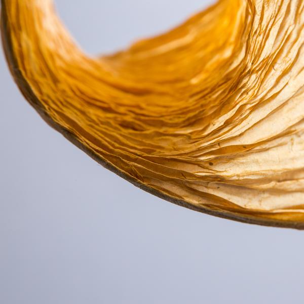 Single Flight of Bird Pendant Lamp