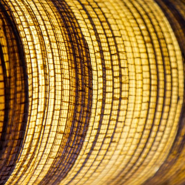 Tube Cover Curve Bark Wall Lamp