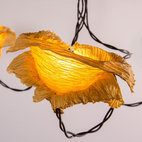 Dry Flower Pendant Lamp