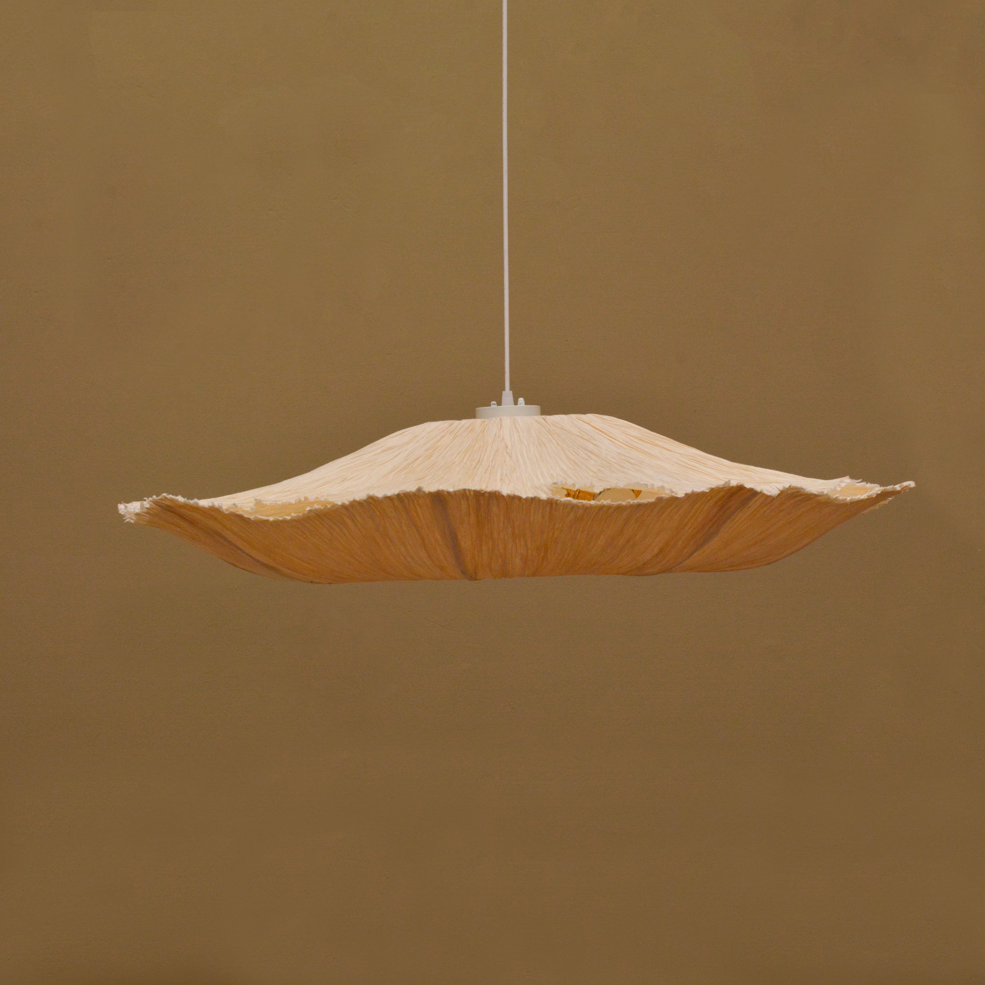Oyster Mushroom Pendant Lamp