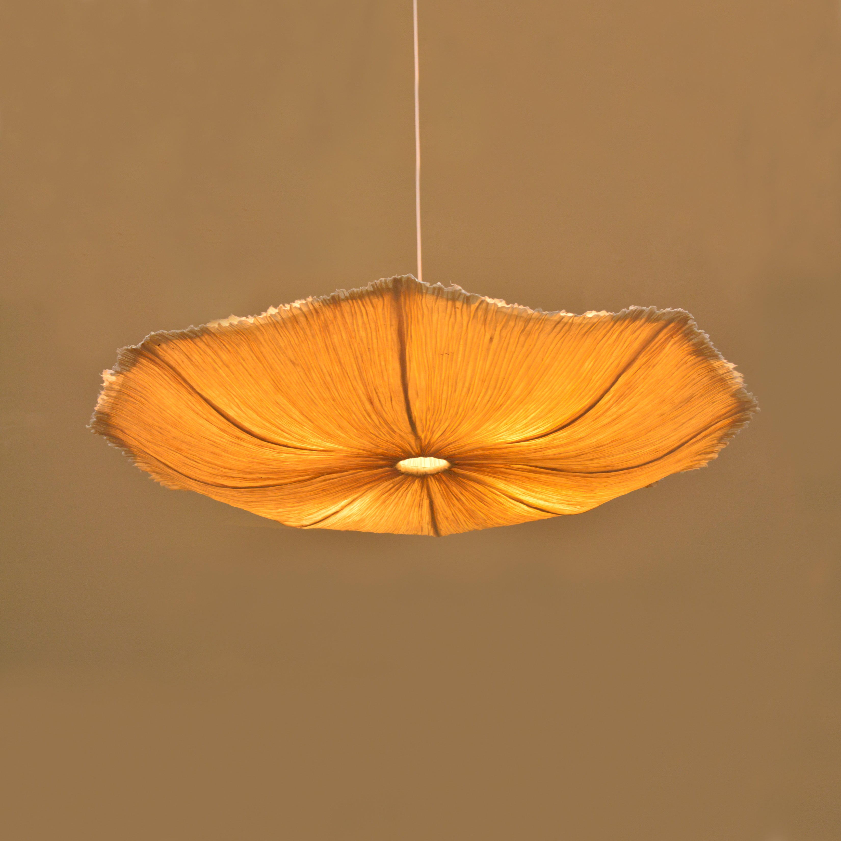 Oyster Mushroom Pendant Lamp