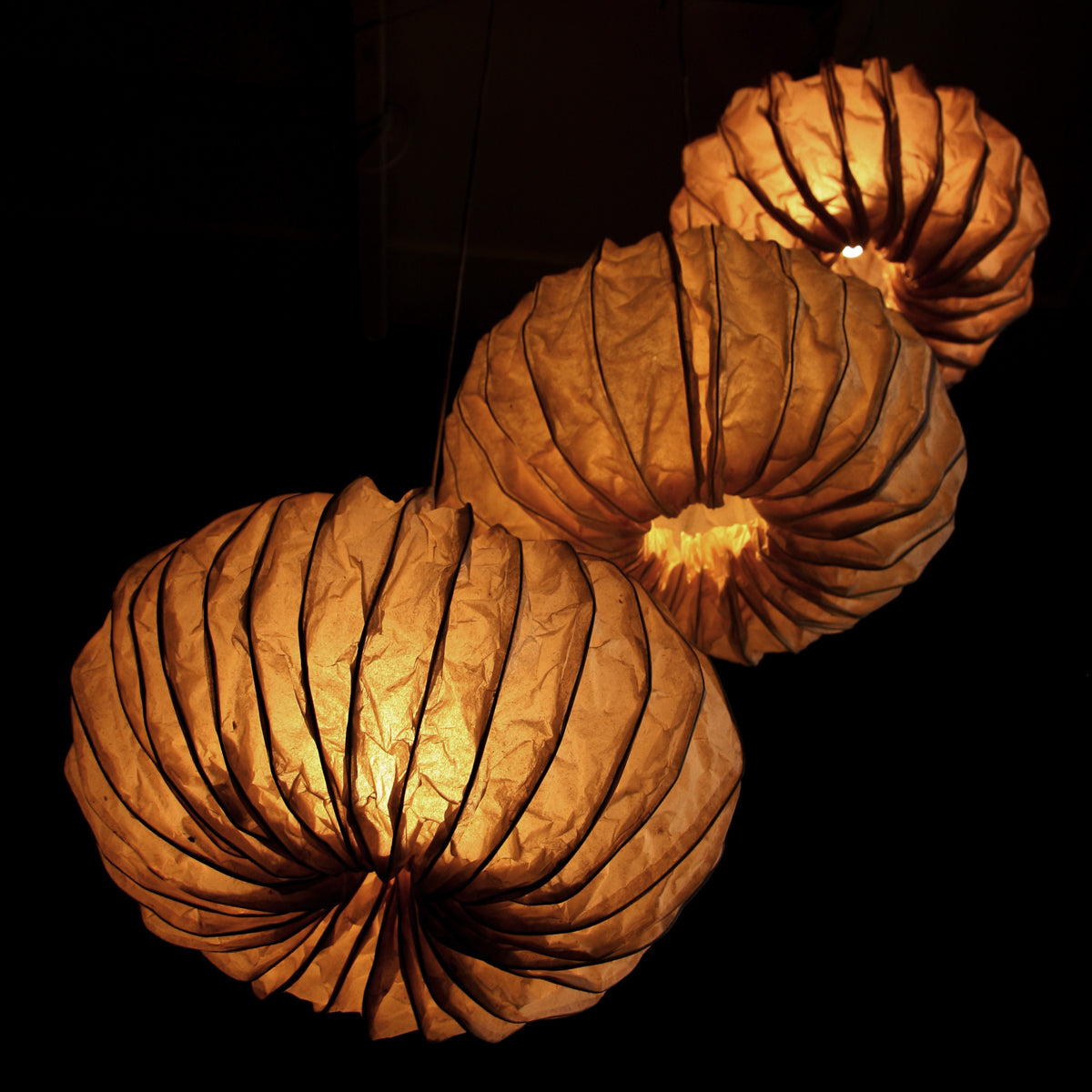 Sea Urchin Round Pendant Lamp