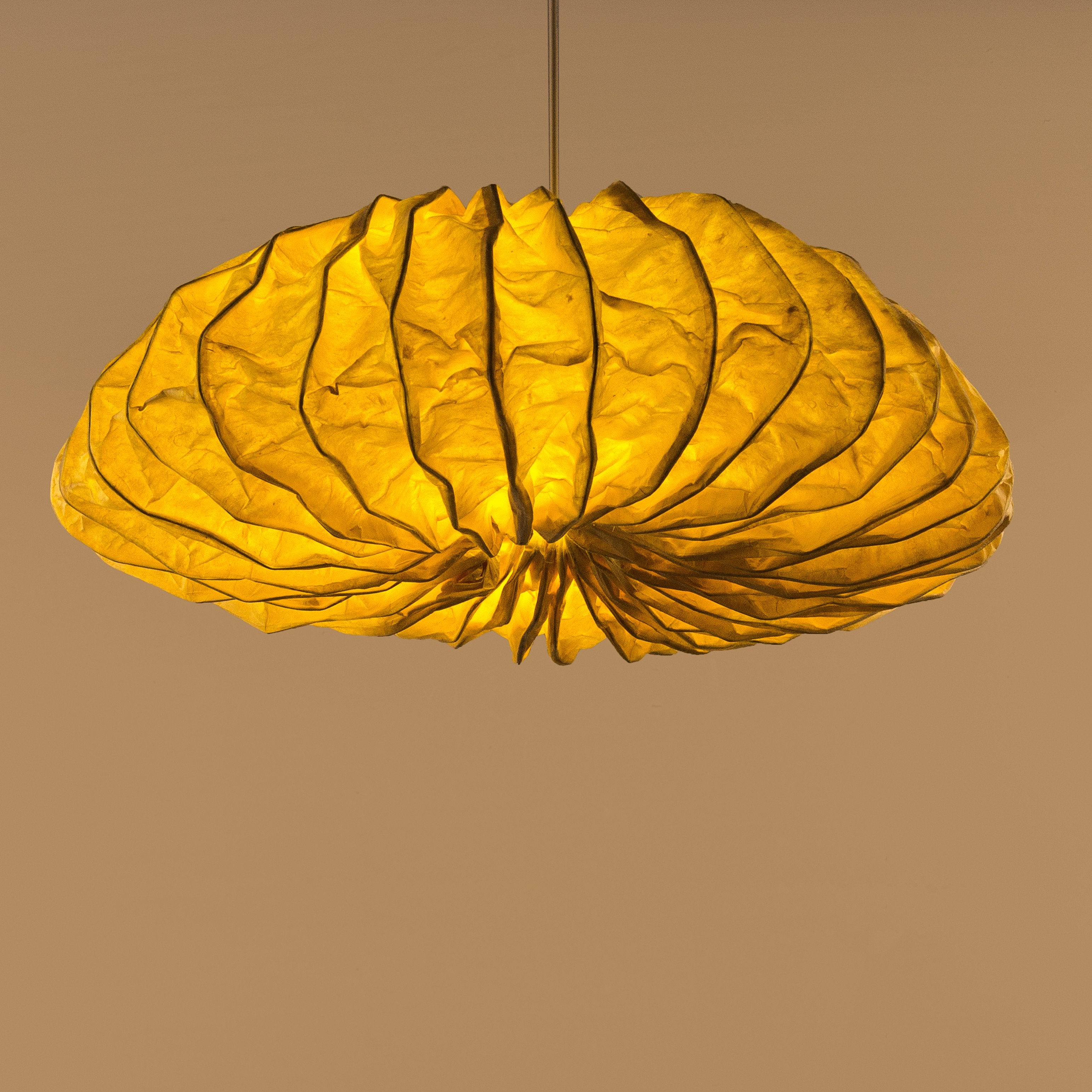Disc Sea Urchin Pendant Lamp