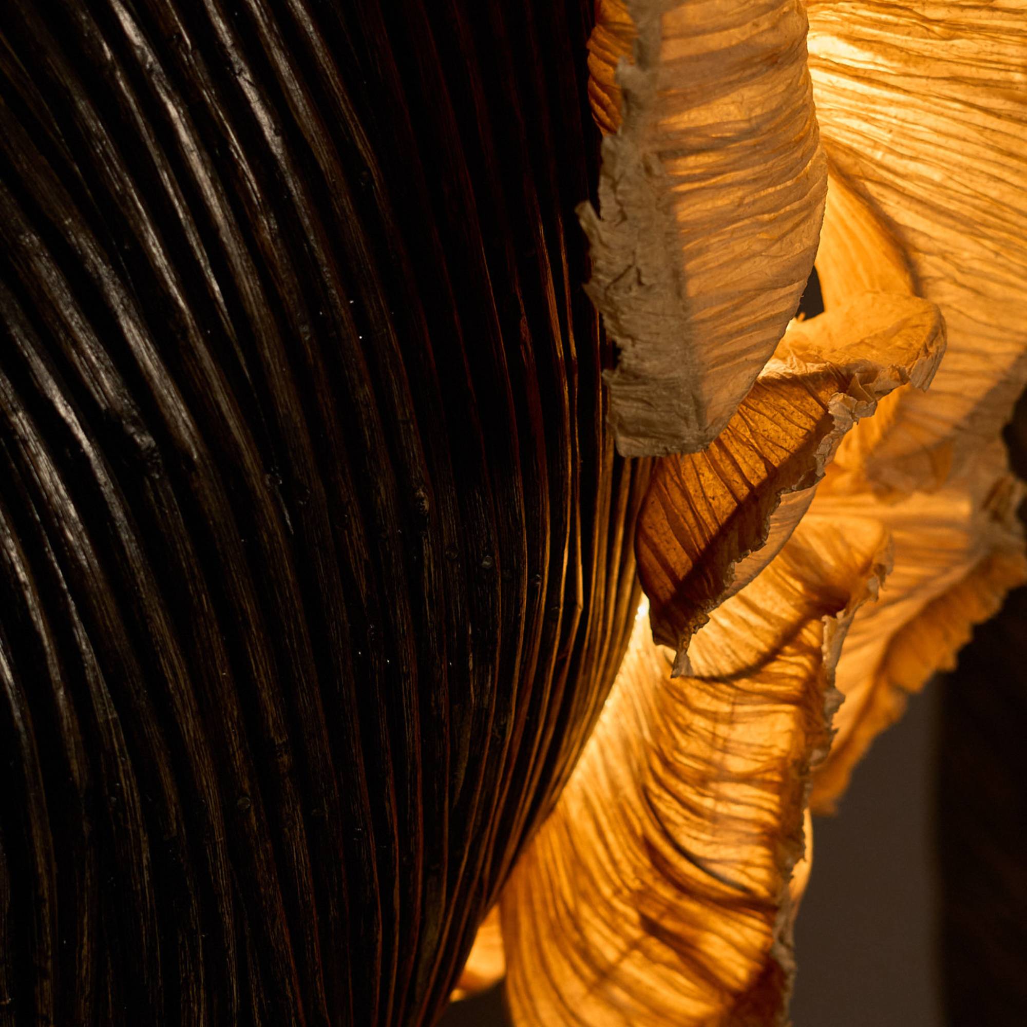 Fantastic Fungi Pendant Lamp