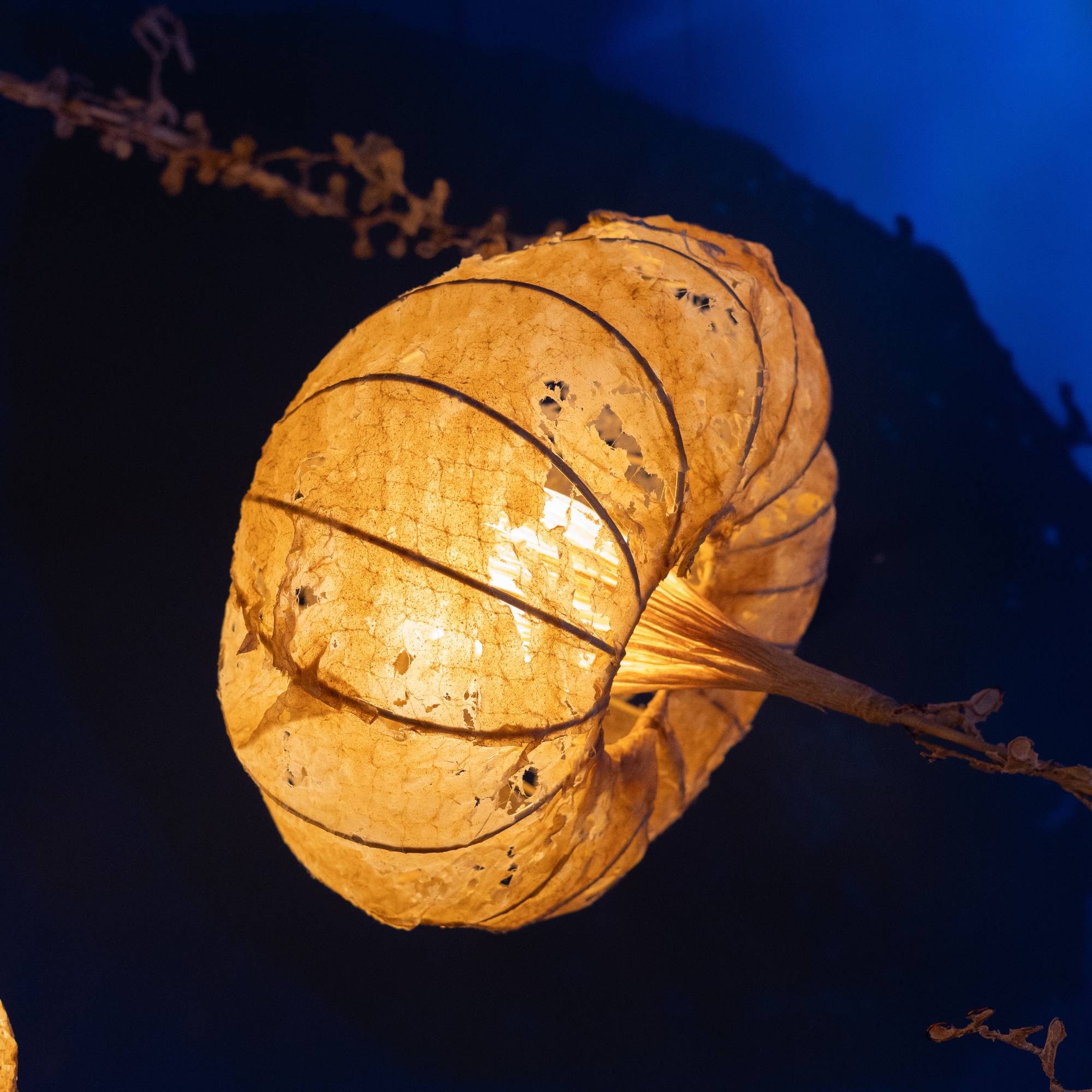 Aurelia Pendant Lamp