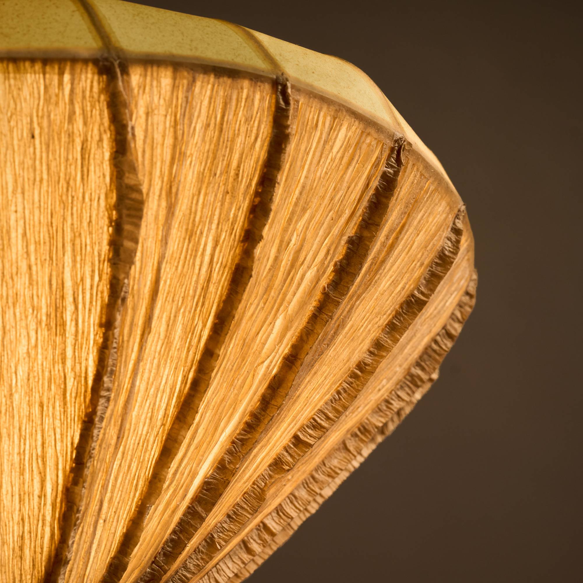 Fantastic Fungi Floor Lamp