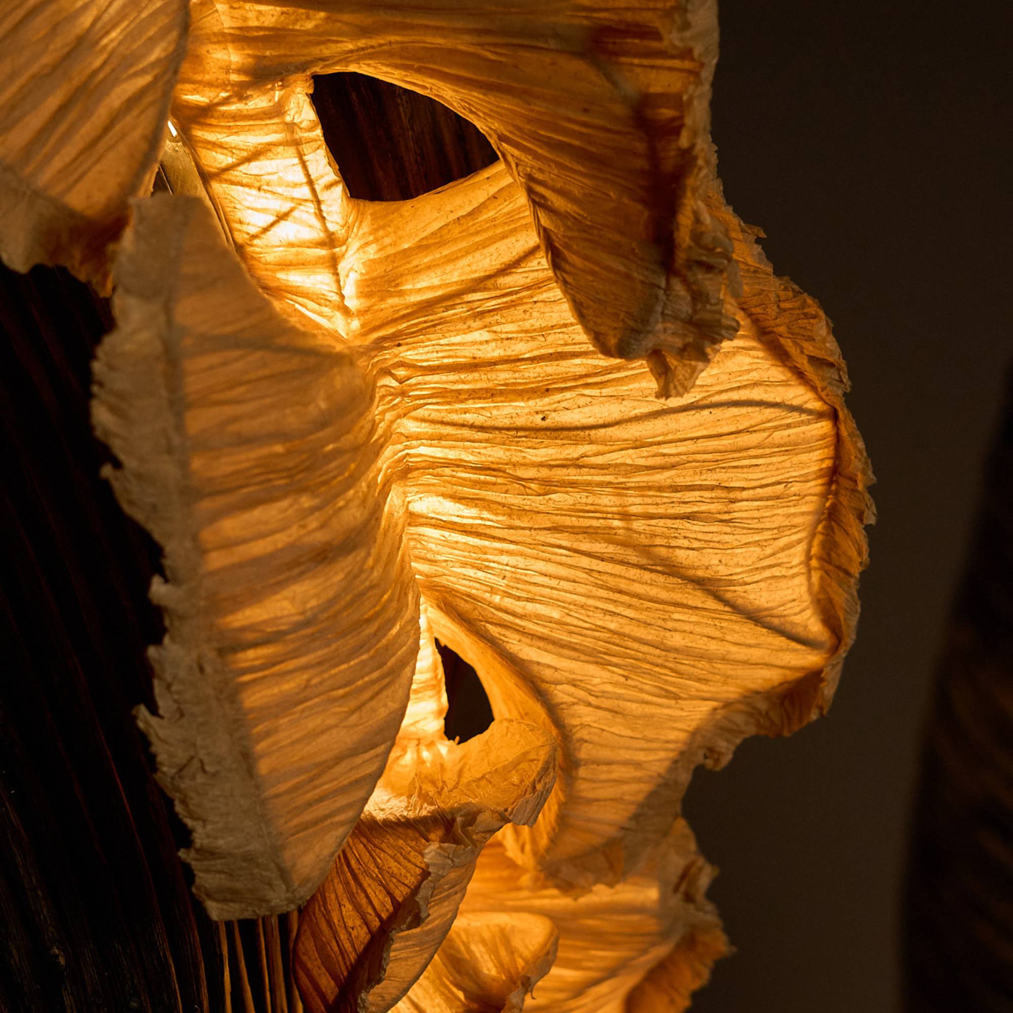 Fantastic Fungi Pendant Lamp