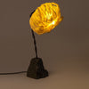Freefall with Coco Flower Table Lamp