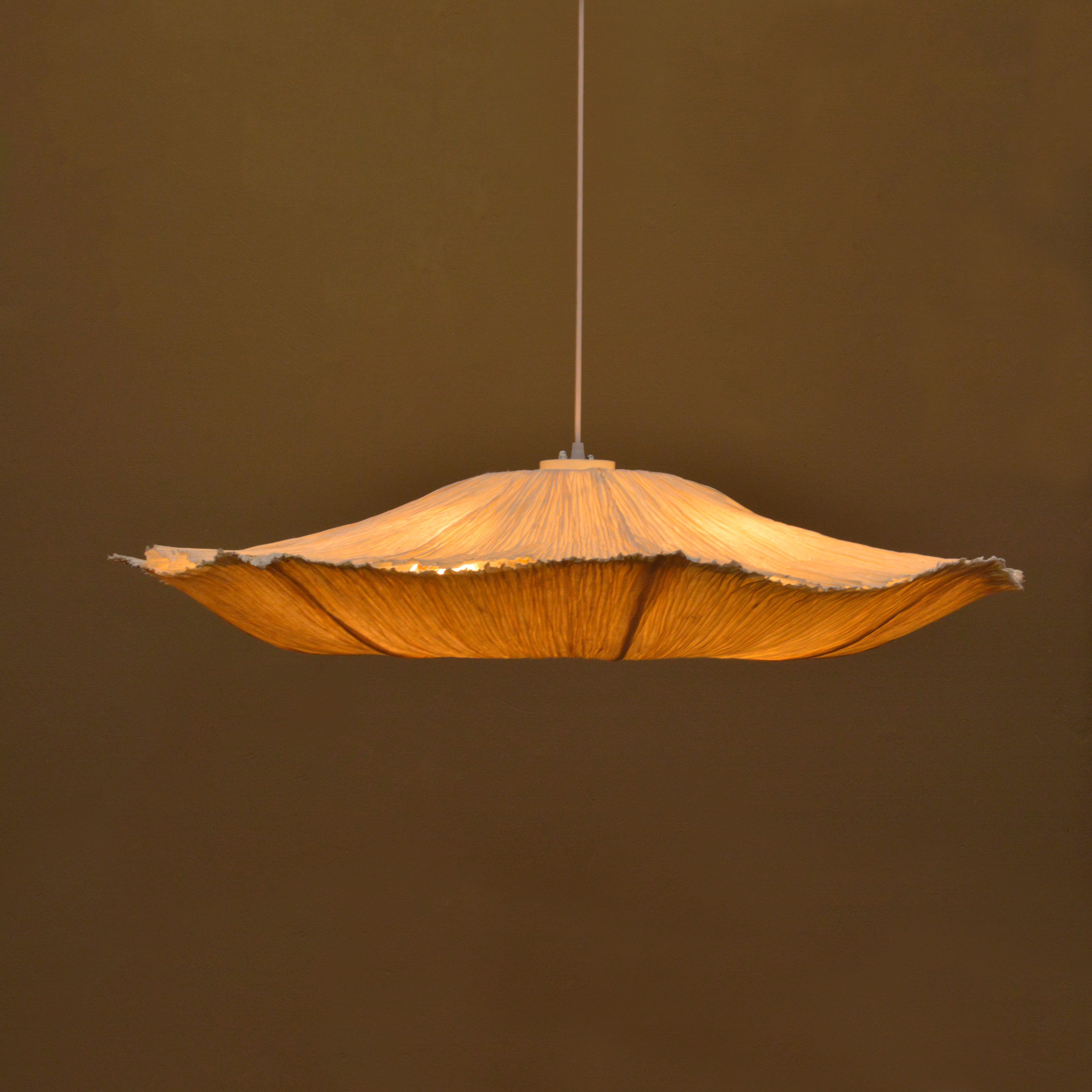 Oyster Mushroom Pendant Lamp