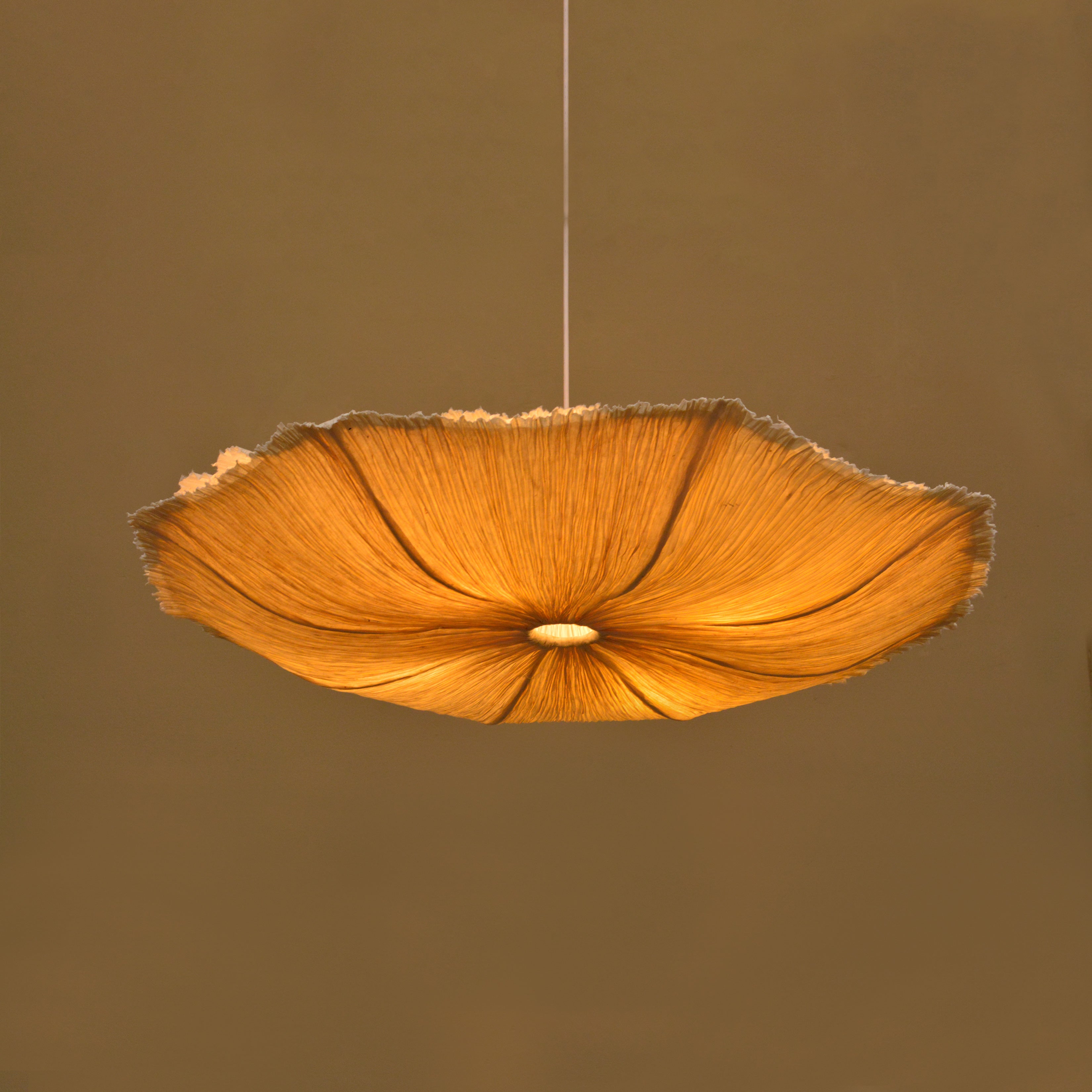 Oyster Mushroom Pendant Lamp