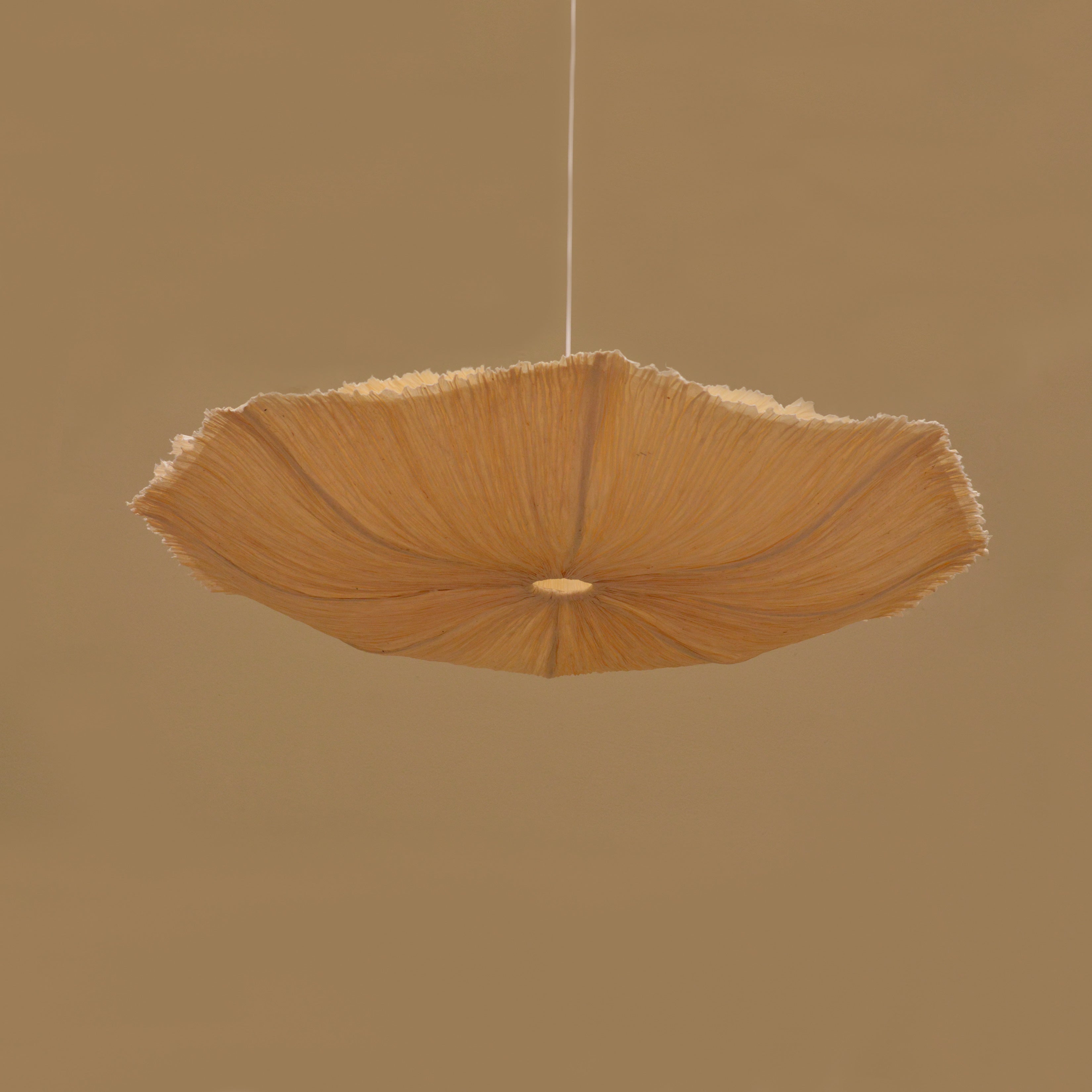Oyster Mushroom Pendant Lamp